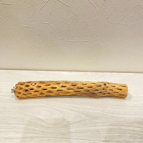 カクタスパーチ極小2-3㎝長さ25㎝