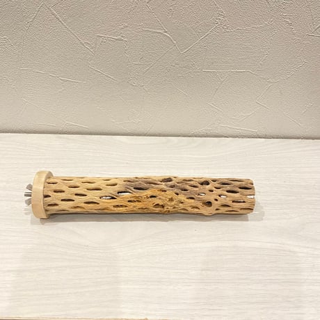 カクタスパーチ小直径3~4cm 長さ20cm ⑫