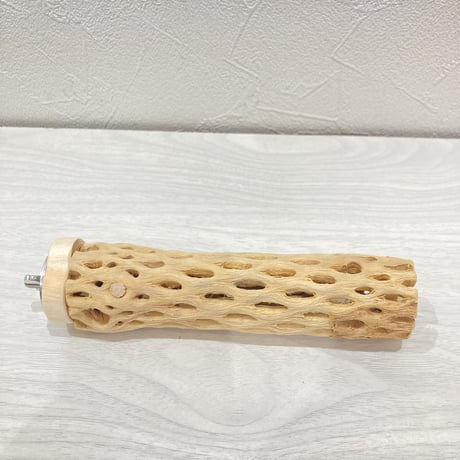 カクタスパーチ【4】小 直径約3.5cm 長さ15cm
