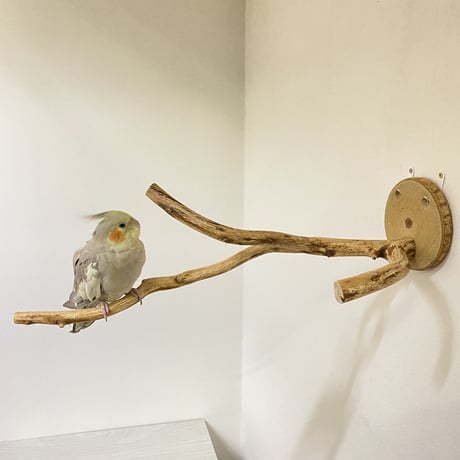 ピノキオの鼻 ⑤