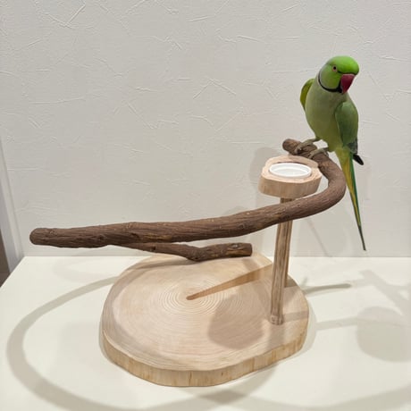 【幼鳥・老鳥・病鳥】優しいツタのスタンドパーチ【中型インコ】【インコのおもちゃ・ブランコ・自然木のとまり木】バードアスレチック