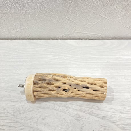 カクタスパーチ【2】極小 直径約3cm 長さ10cm