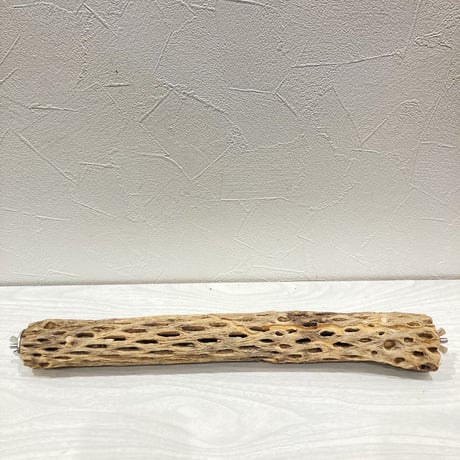ケージサイズカクタスパーチ 小③ 直径3-4cm HOEI35サイズ