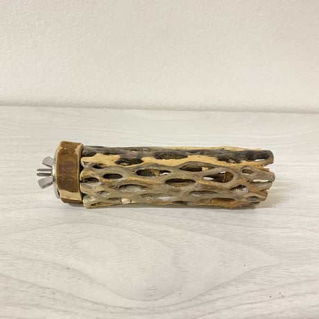 カクタスパーチ① 極小サイズ 直径（約2-3cm）長さ/10cm