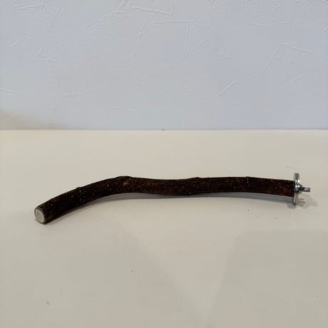 自然木（ツタ）パーチ 直径1.6cm/長さ23cm
