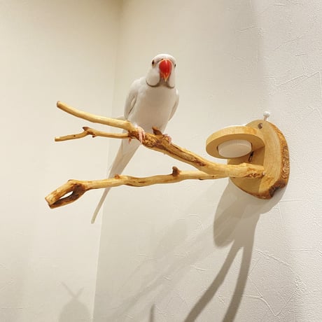 ピノキオの鼻 ⑤  おやつ入れ付き