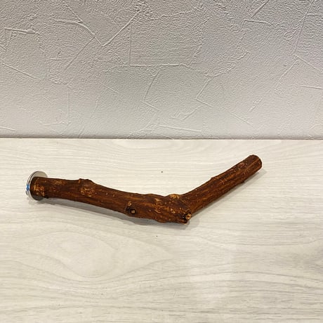 自然木（ツタ）パーチ 直径約2cm/長さ24cm