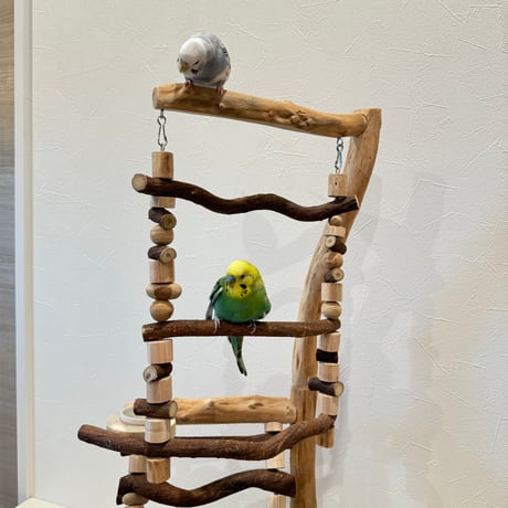【小型・中型向け】梯子とハイジのブランコ【インコのおもちゃ・自然木のとまり木】