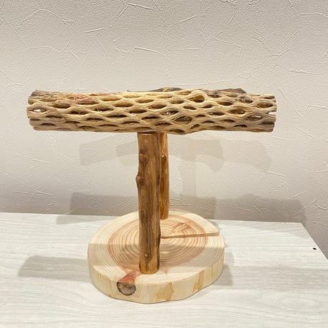 ツタとカクタスのスタンドパーチ