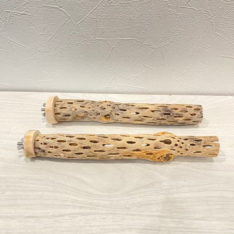 【milk.mugi_himawari様専用】極小 カクタスパーチ21cm/22cm