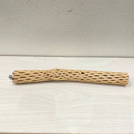 カクタスパーチ極小① 2-3㎝長さ30cm