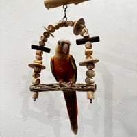 小型さん用カクタスと天然ウッドビーズのブランコ③【インコ おもちゃ サボテンの骨】
