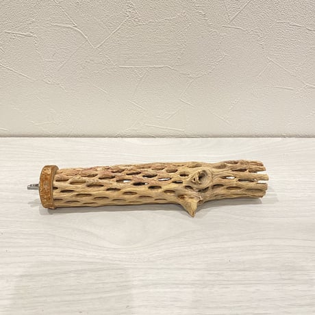 カクタスパーチ④  小 直径約4cm 長さ20cm