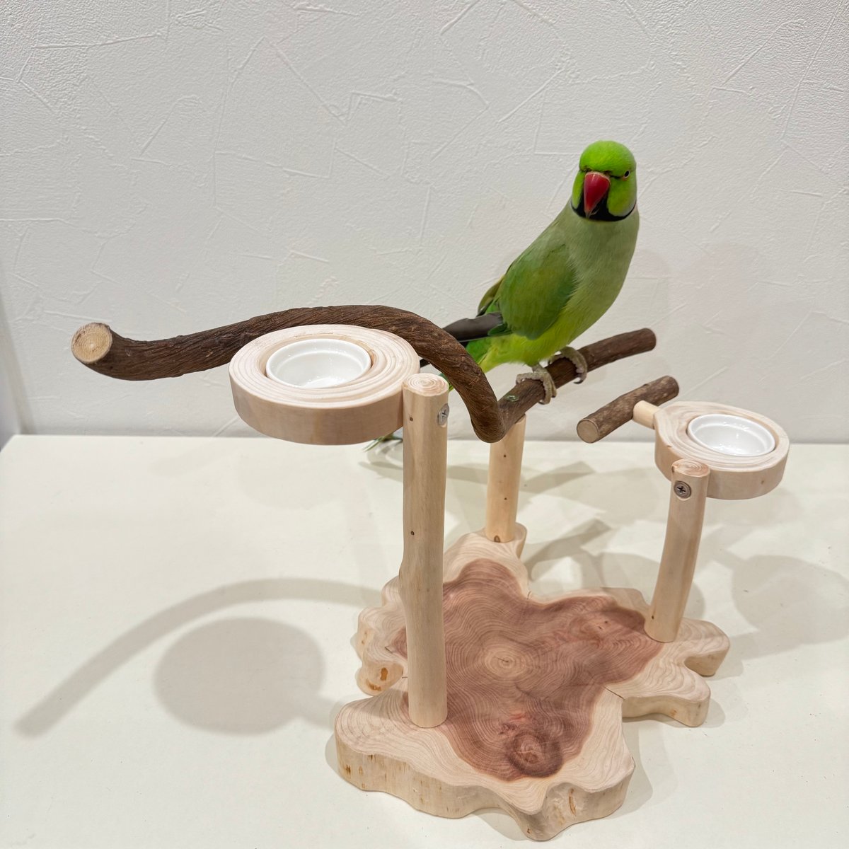 ツタのおやつ入れ付きスタンドパーチ 【インコ 自然木 止まり木