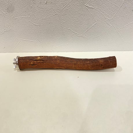 自然木（ツタ）パーチ 直径約2.3cm/長さ20cm
