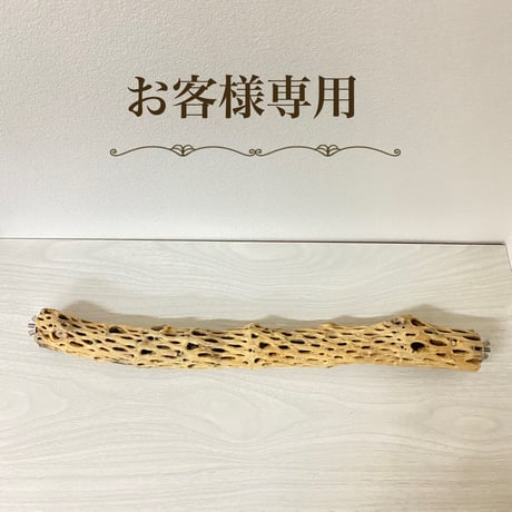【A様専用】ケージサイズカクタスパーチ 小サイズ直径4cm HOEI465サイズ