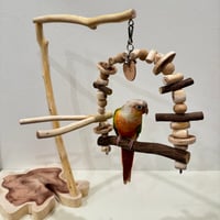 ツタとステンレスベルのパーチブランコ② 【インコ・小鳥のおもちゃ　自然木の止まり木】