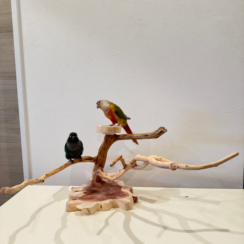貝塚伊吹おやつ入れ付きスタンドパーチ 【インコ 自然木 止まり木