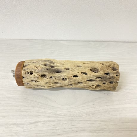 カクタスパーチ 中サイズ④ 直径（約5.5cm）長さ/15cm