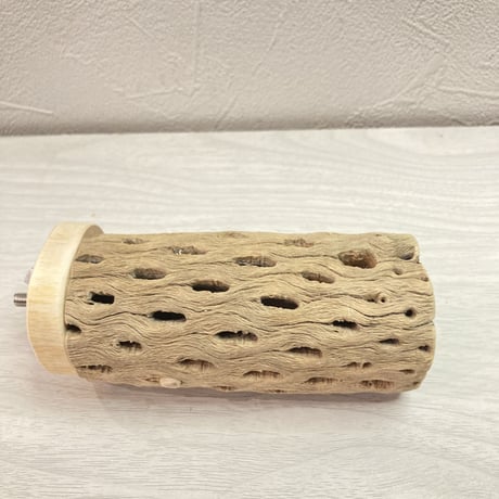 カクタスパーチ【C】 中 直径5cm前後 長さ10cm