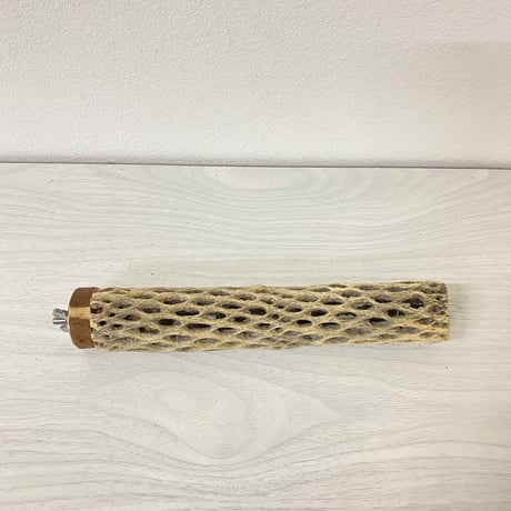 カクタスパーチ③ 小サイズ 直径（約3-4cm）長さ/20cm