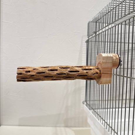 カクタスパーチ極小サイズ③ 直径2.6cm/長さ15cm【自然木 止まり木 バンブルフット 趾瘤症 】