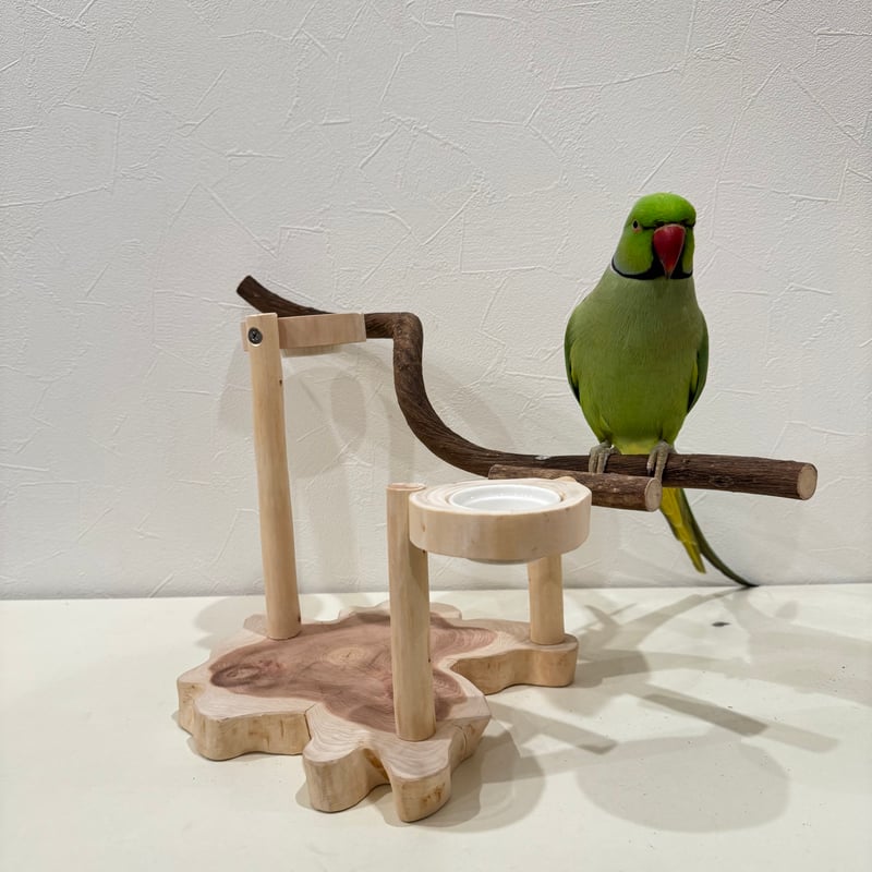ツタのおやつ入れ付きスタンドパーチ 【インコ 自然木 止まり木