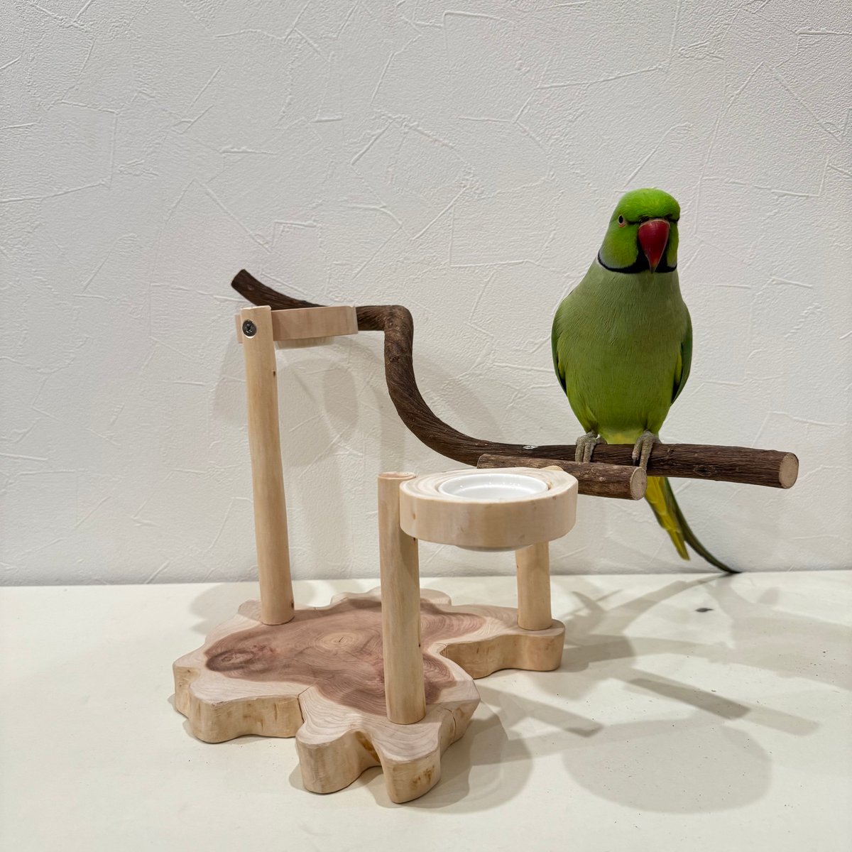 ツタのおやつ入れ付きスタンドパーチ 【インコ 自然木 止まり木