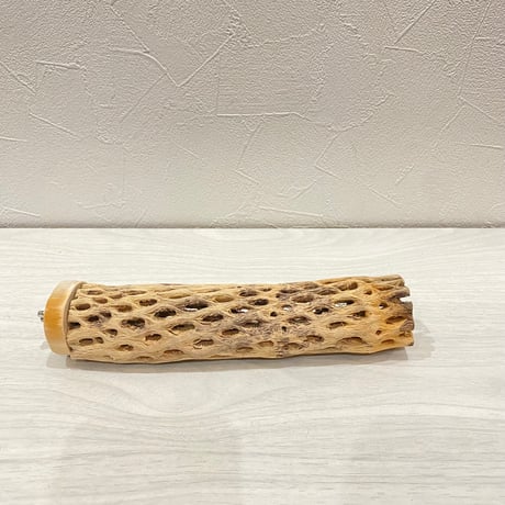 カクタスパーチ⑩ 小サイズ長さ18cm