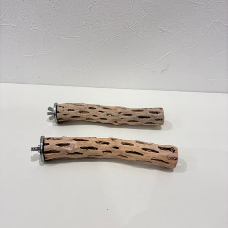 【M様専用】カクタスパーチ　直径2.5~3cm/長さ15cm