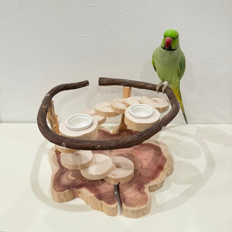 ツタのおやつ入れ付きスタンドパーチ【インコのおもちゃ・自然木のとまり木】