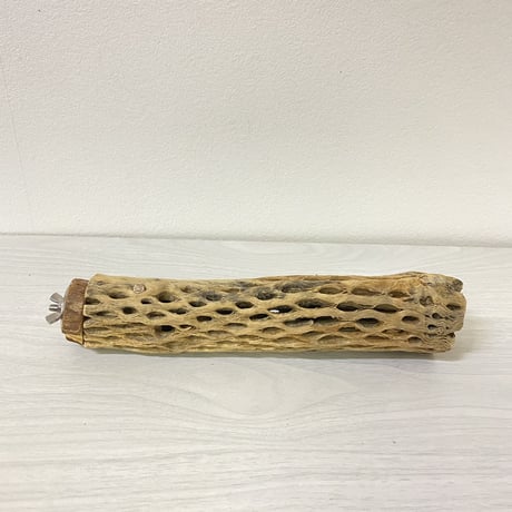 カクタスパーチ⑨ 中サイズ 直径（約5.5cm）長さ/23cm