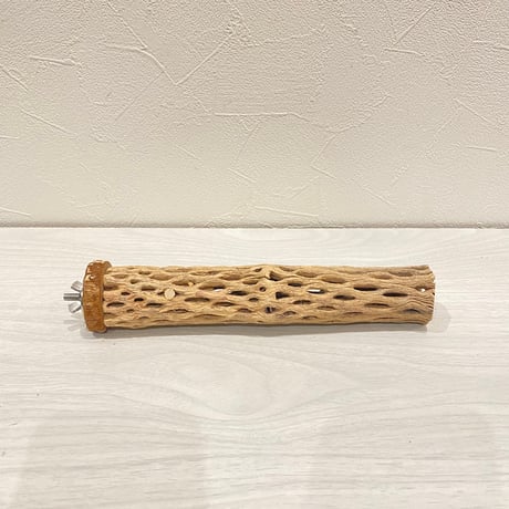 カクタスパーチ⑤  小 直径約4cm 長さ20cm