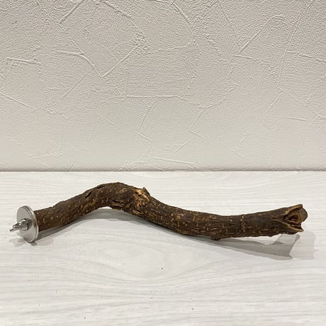 自然木（ツタ）パーチ⑦ 直径2.5cm 長さ22.5cm
