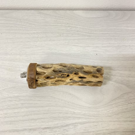 カクタスパーチ③ 極小サイズ 直径（約2-3cm）長さ/10cm