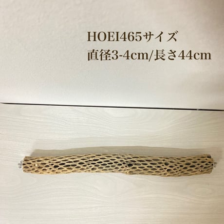 ケージサイズカクタスパーチ 小サイズ直径3-4cm HOEI465 ①