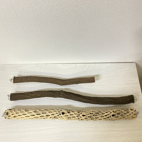 【sizu様専用】カクタスパーチ 極小 直径約3cm 長さ/44cm