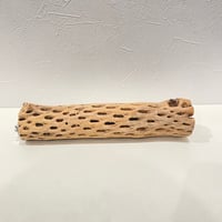 カクタスパーチ(V) 直径約5cm/長さ25cm