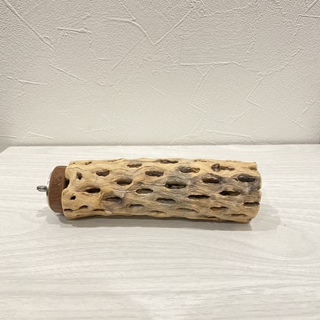 カクタスパーチ⑫  小 直径約4cm前後/14cm