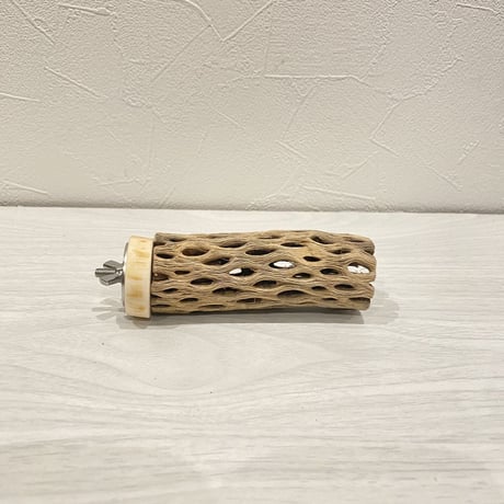 カクタスパーチ【10】 小直径3.5cm/10cm