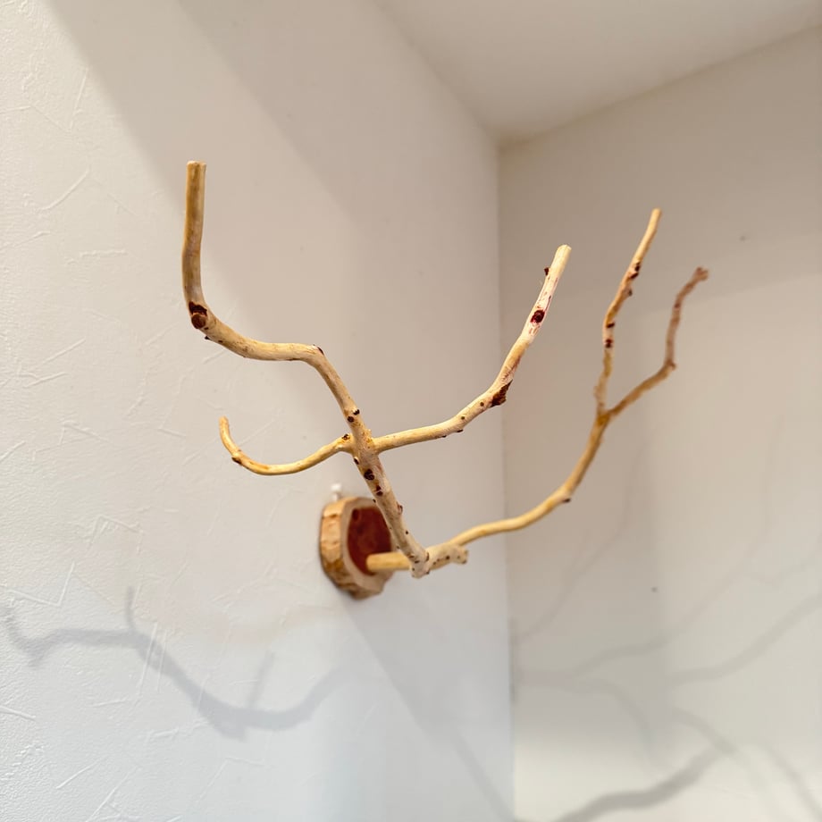 693545d69dfb09bb060fb634