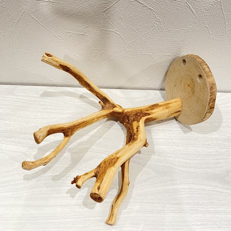 ピノキオの鼻 ②