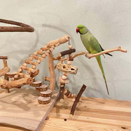 【鳥日記様専用】ツタのぐるぐるバードアスレチック