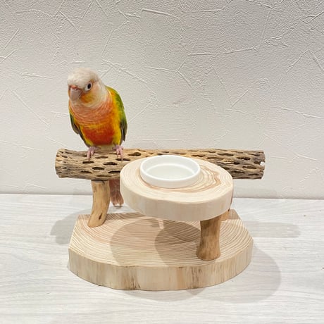 カクタスのおやつ入れ付きスタンドパーチ