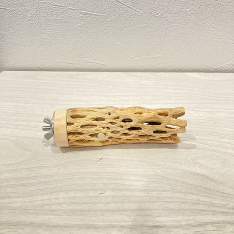 カクタスパーチ小⑪ 直径約3~4cm 長さ10cm