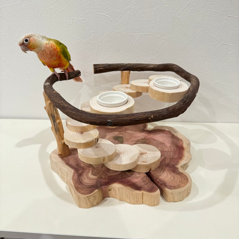 ツタと螺旋階段のおやつ入れ付きスタンドパーチ【インコのおもちゃ