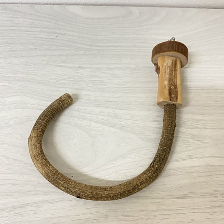 自然木（ツタ）フック船長パーチ①　パーチ直径1cm／円直径12×15cm