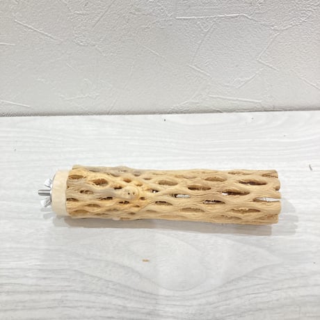 カクタスパーチ小　直径約3.5cm 長さ14cm