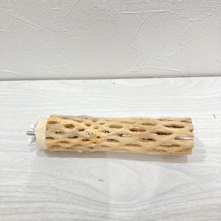 65100a248119e51542479409