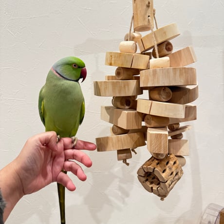 国産杉と桧の大盛りガジガジおでんくん 【インコのおもちゃ ストレス発散 自然木】